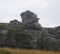 pic144.jpg