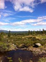 post-1044-0-51524800-1371497421_thumb.jpg