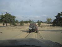 IMG_0778_resize.JPG
