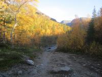 IMG_1305_resize.JPG