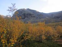 IMG_1307_resize.JPG