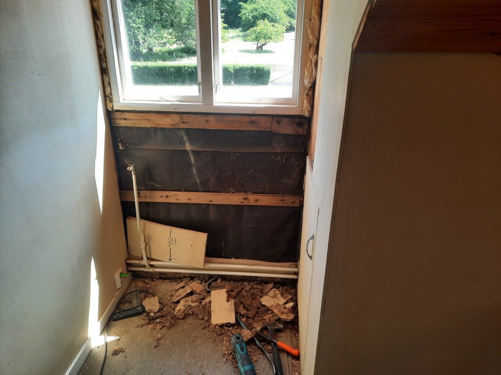 20230614_120103.thumb.jpg.3817a62d8fc2179bf9253a2692ee8e48.jpg