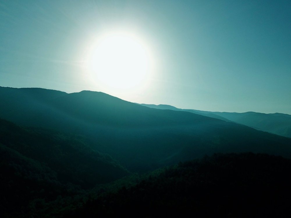 5BC69D24-A65D-4120-8694-A8F618C55A0F.jpeg