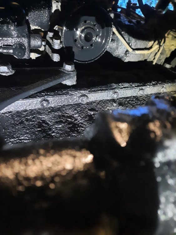 20250902_201236.jpg