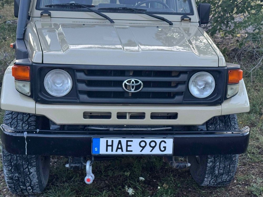 Side lamps and grill BJ73.jpg